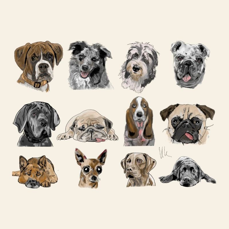 Dogs