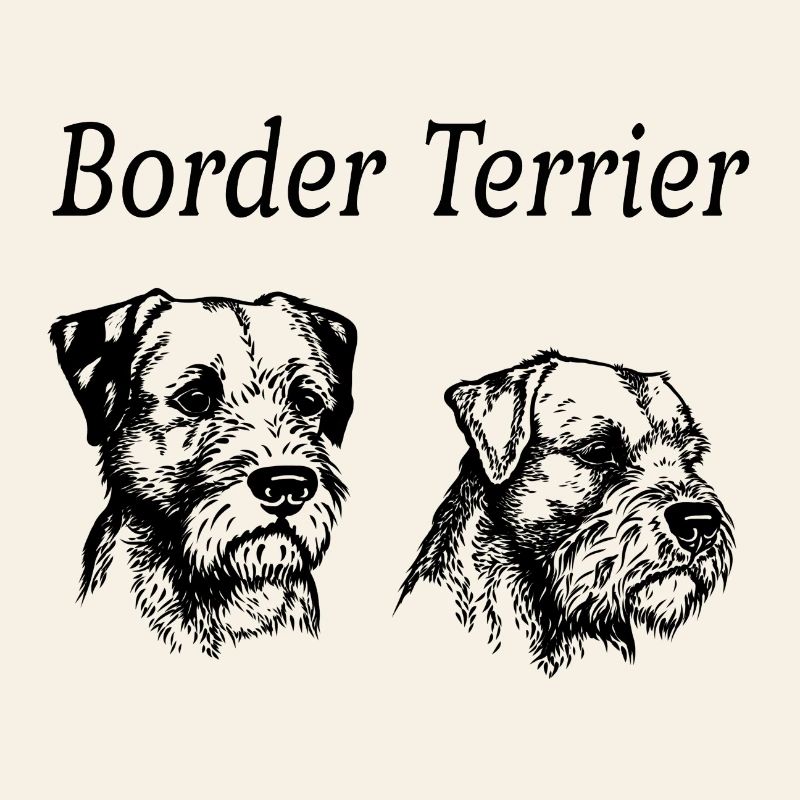 Border Terrier Double Portrait