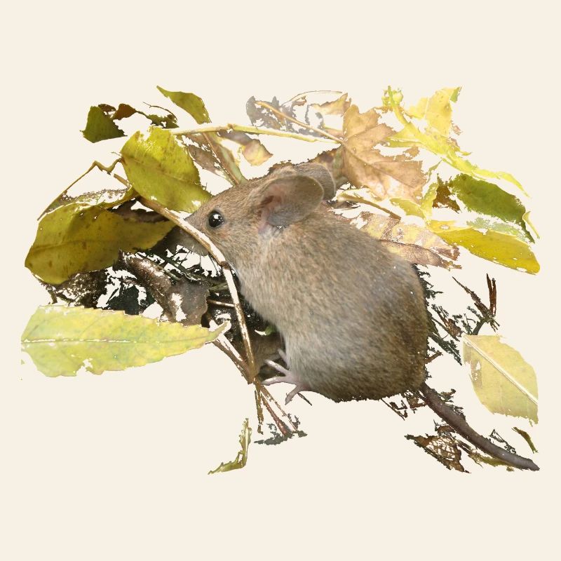 mouse in foliage