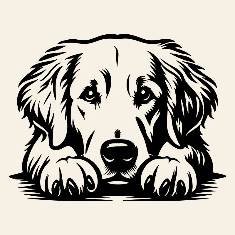 Golden Retriever Head with Paws