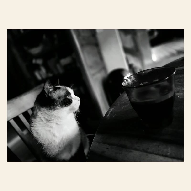 Black Cat and Coffee Mug