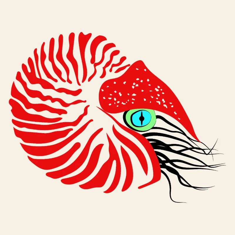 Perlboot, Ammonit, Kopffüßer, Nautilus