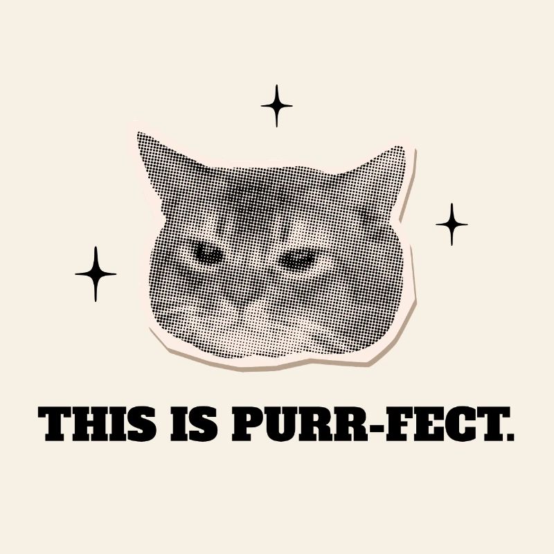 Le Chat Ronron-parfait