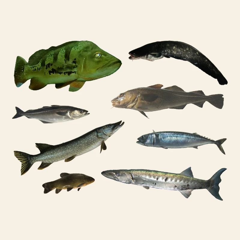 Poissons