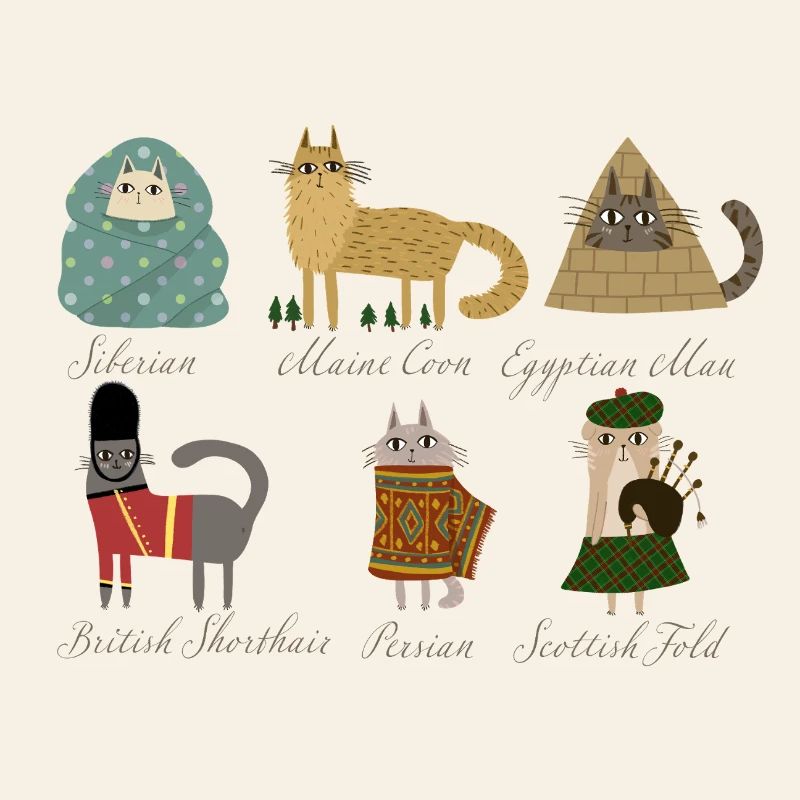 Races de chats