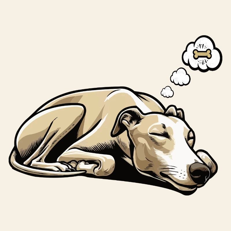 Whippet Greyhound Whippets Propriétaire de lévrier