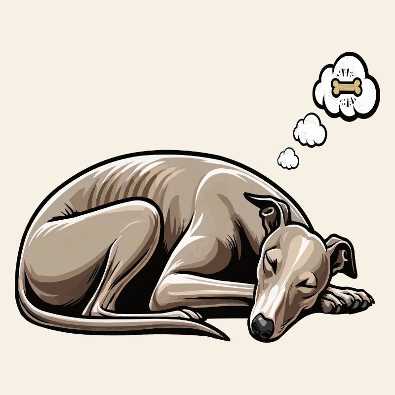 Whippet Greyhound Whippets Propriétaire de lévrier