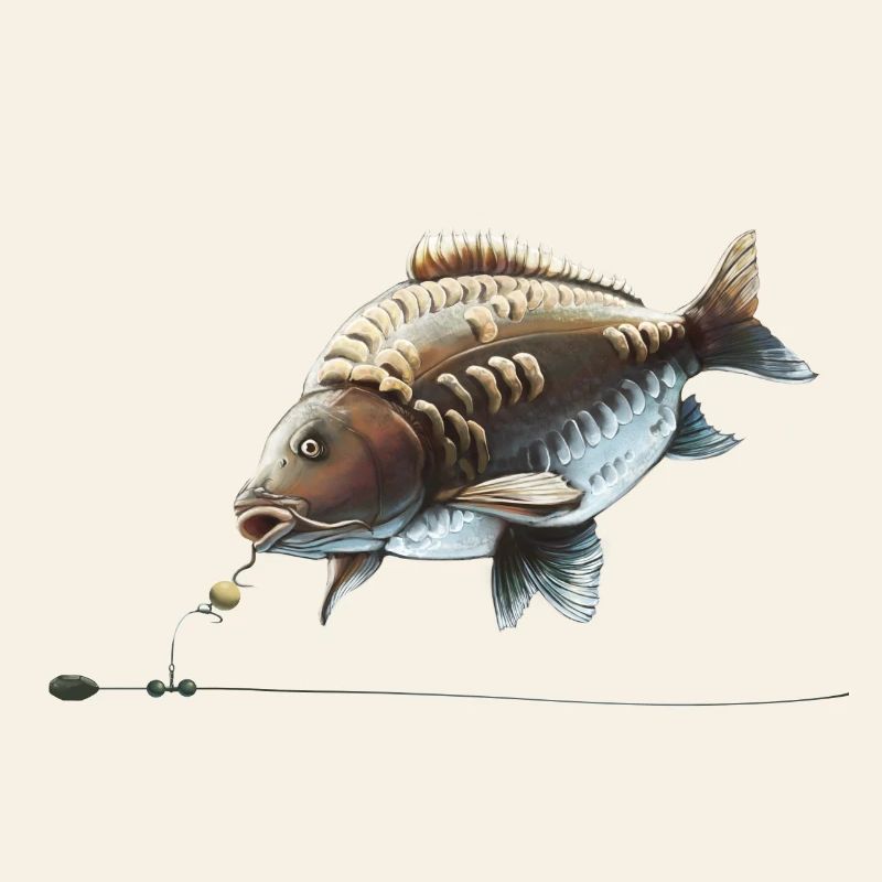 Conception de la pêche à la carpe Chod Rig pour les pêcheurs
