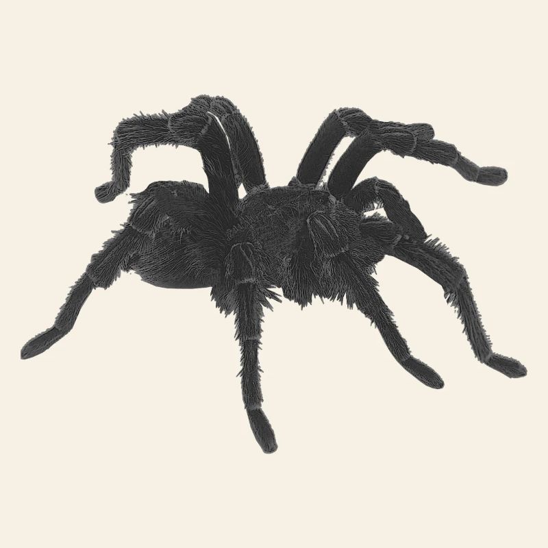 Tarantel design, geburtstagsgeschenk Mann, goth