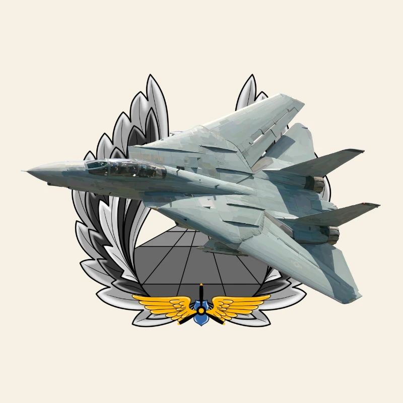 F-14 Tomcat