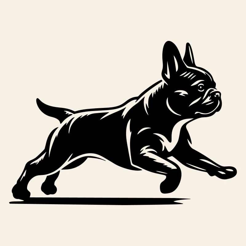 French Bulldog