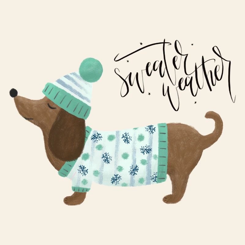 Teckel avec pull et chapeau - Sweater Weather