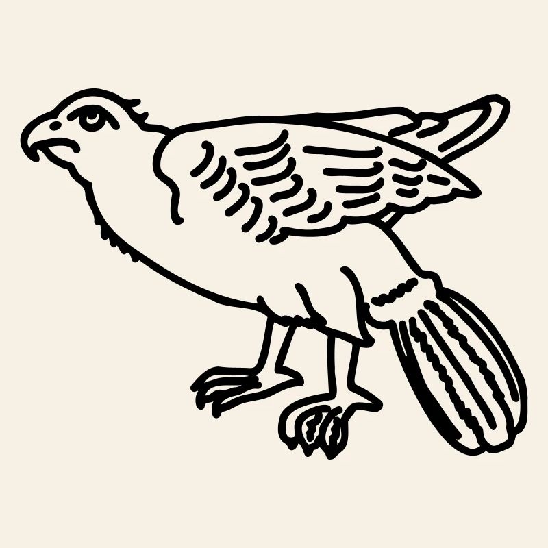 aigle