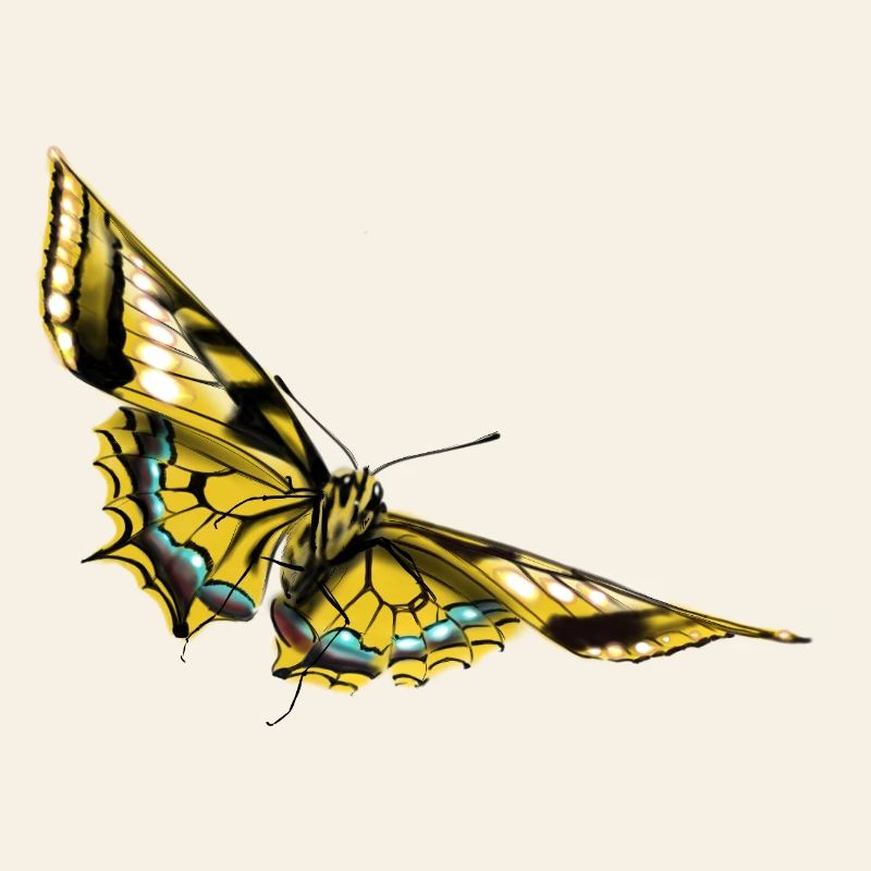 Papillon à ailes dorées