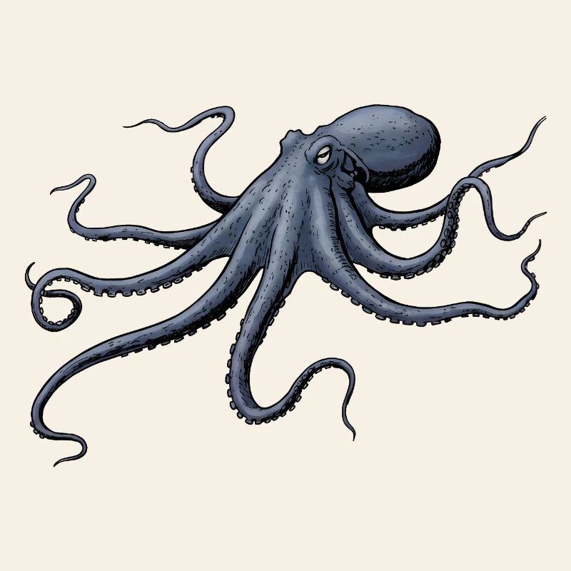 Midnight Blue Octopus Octopus