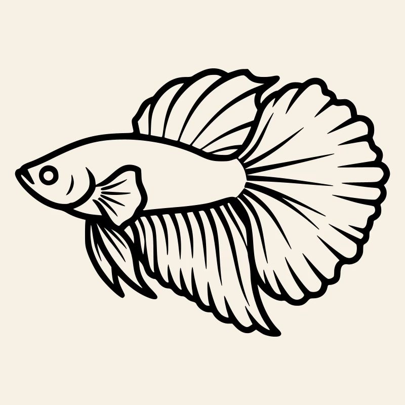 Kampffisch Betta Splendens Aquarium