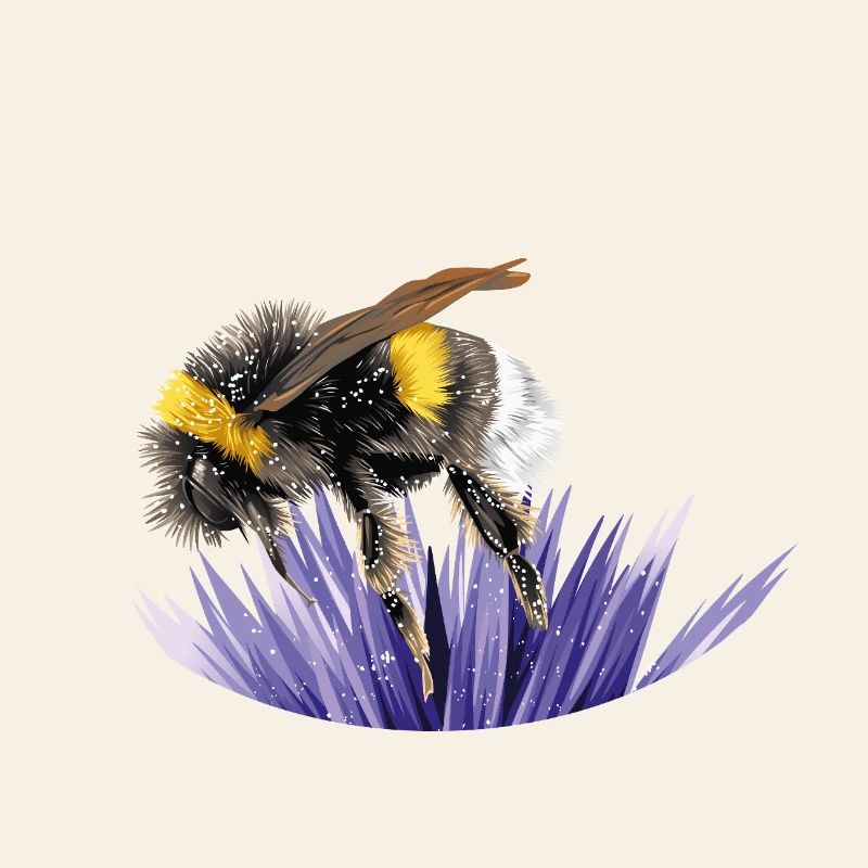 Hummel
