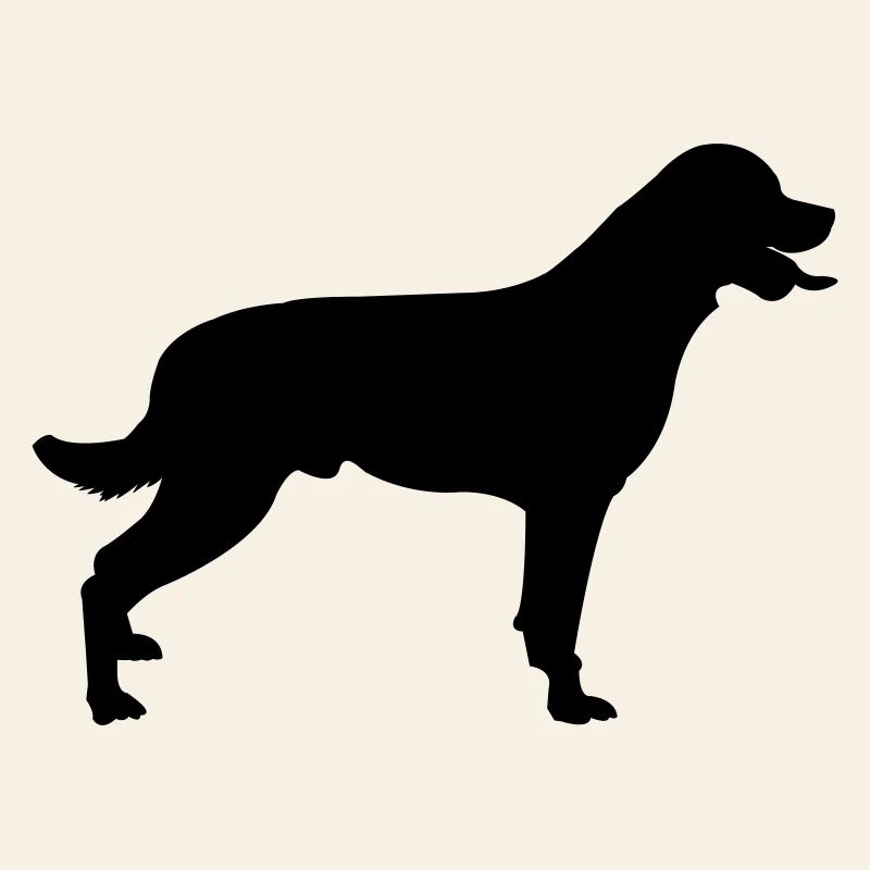 Hund
