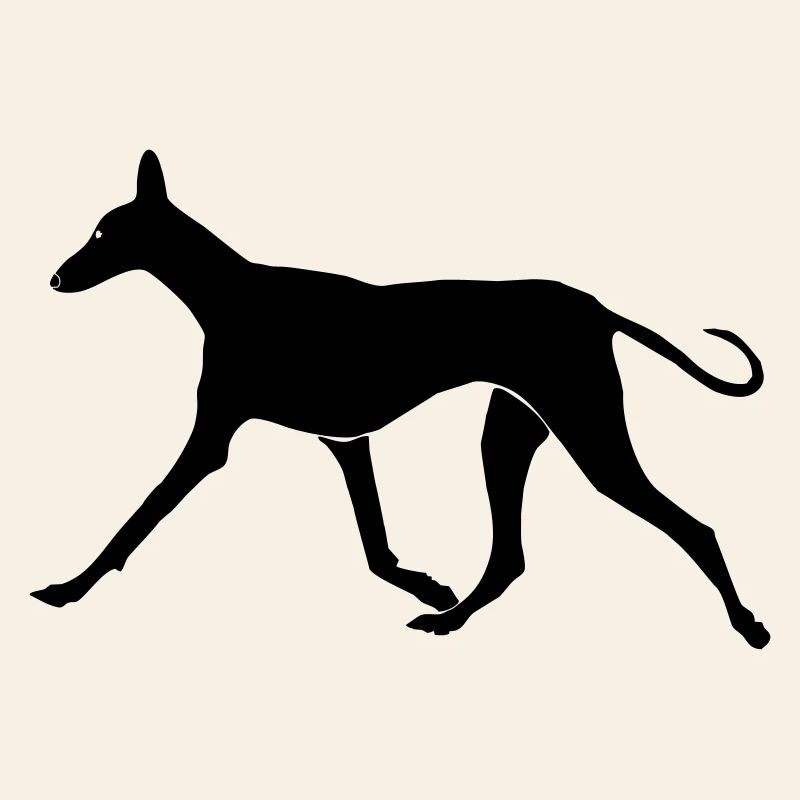 Laufender Podenco