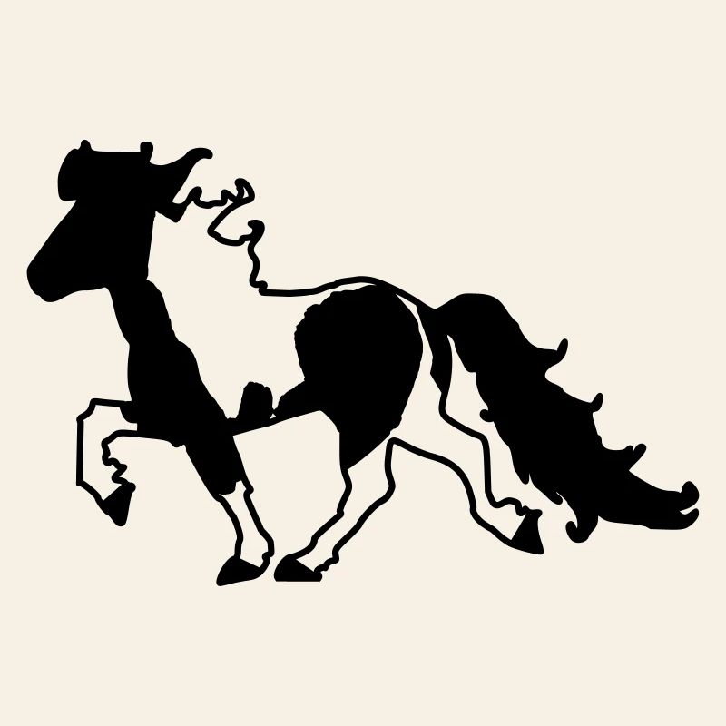 Islandpferd Schecke Reiten Pferde Tölt