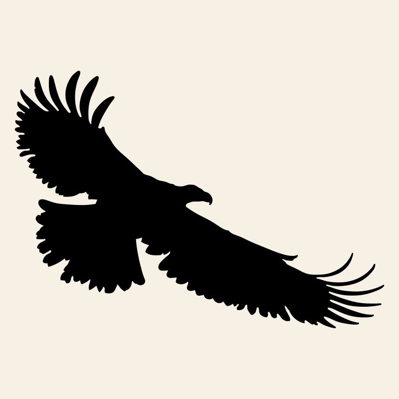 aigle