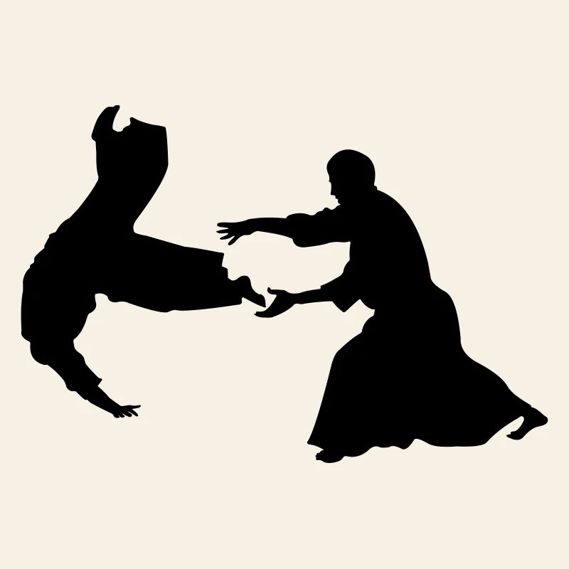 Aikido throw
