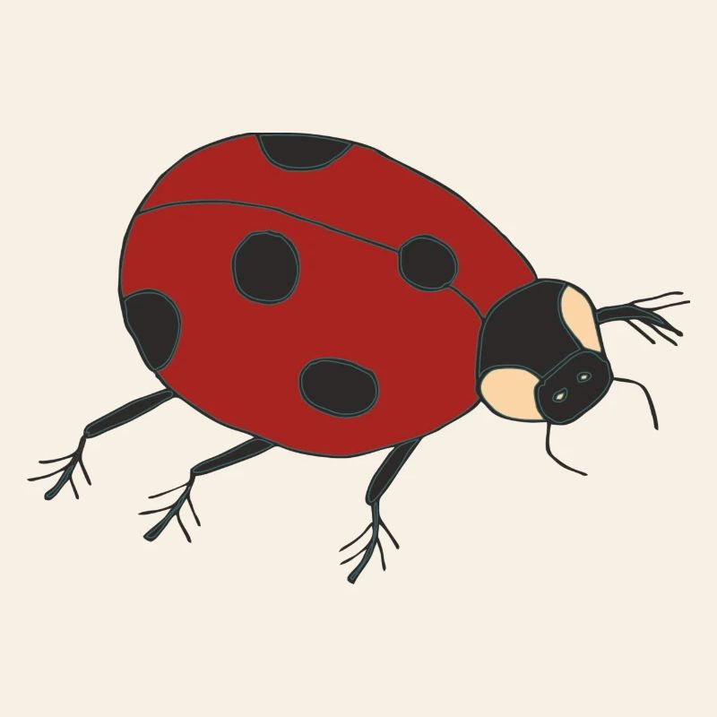marienkäfer