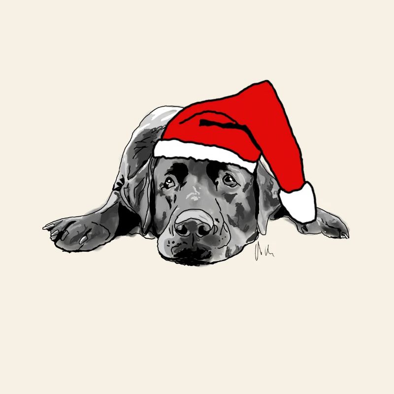 Noël Labrador