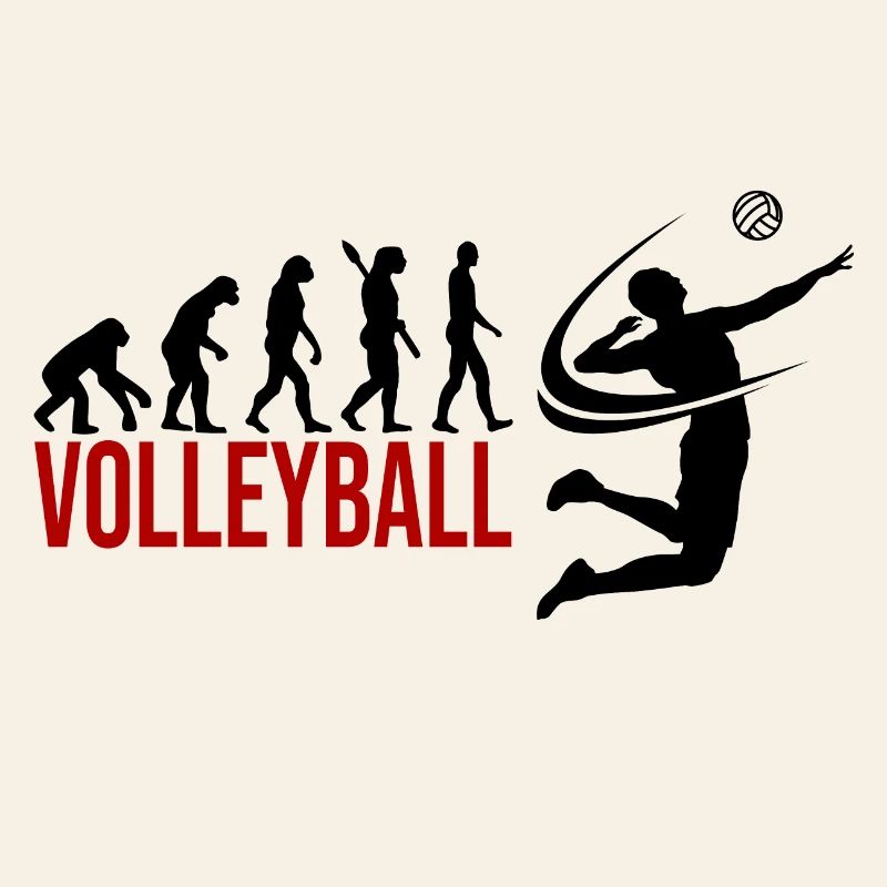 Evolution Volleyball