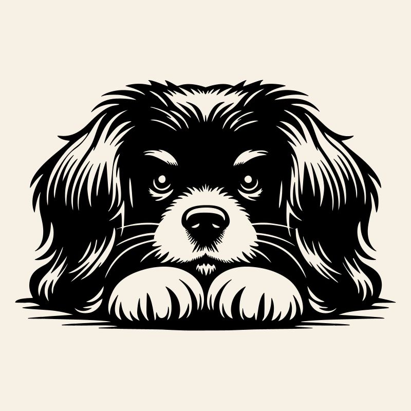 Tibetan Spaniel Head with Paws