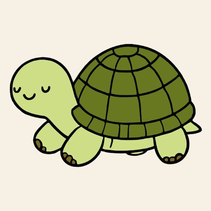 Tortue