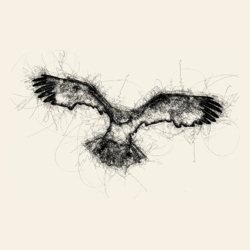 Flying Eagle