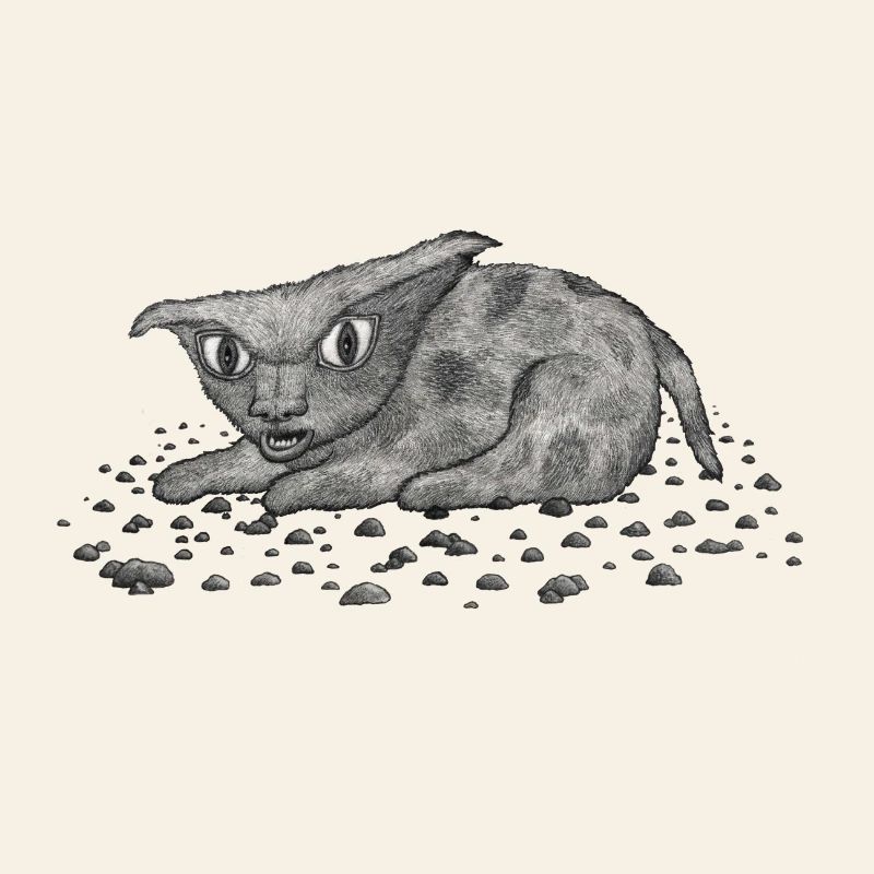 Grim Cat