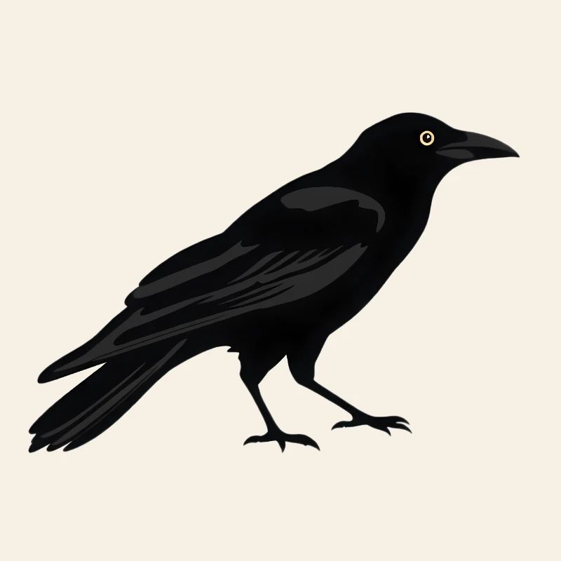 Raven