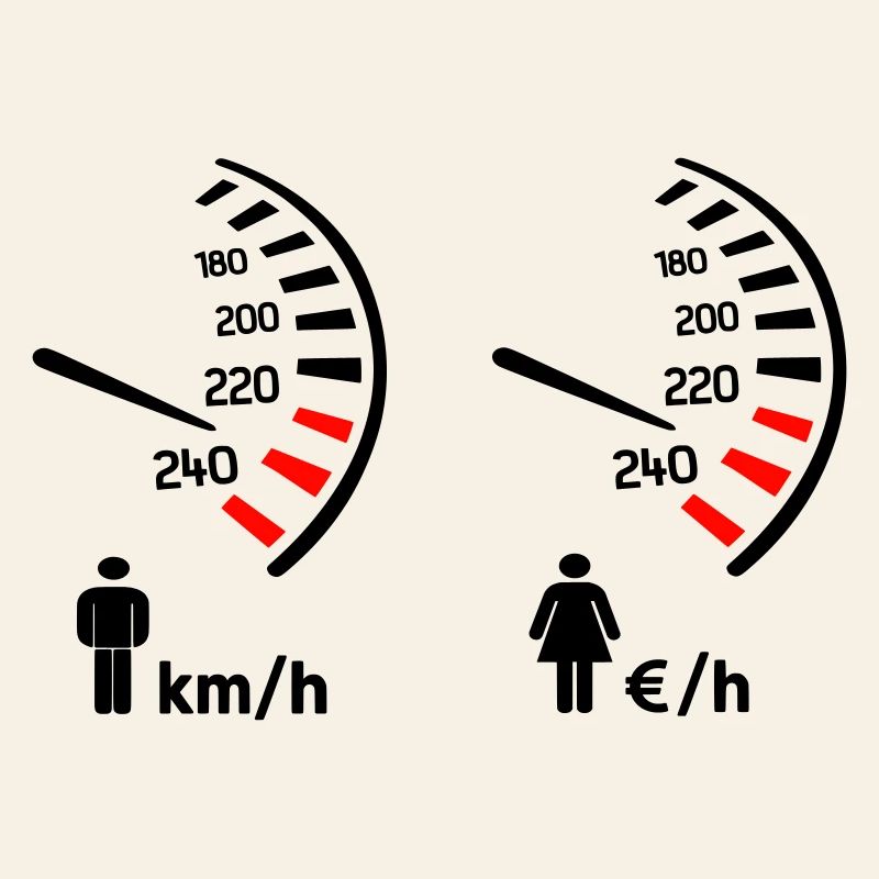 Speedometer km/h and expense meter