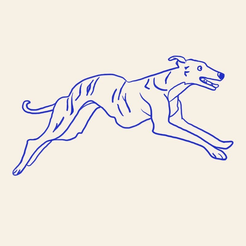 Greyhound Dog Running