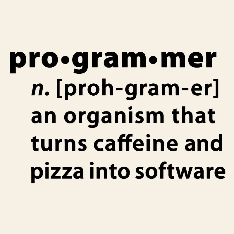 Programmer Wörterbuchdefinition