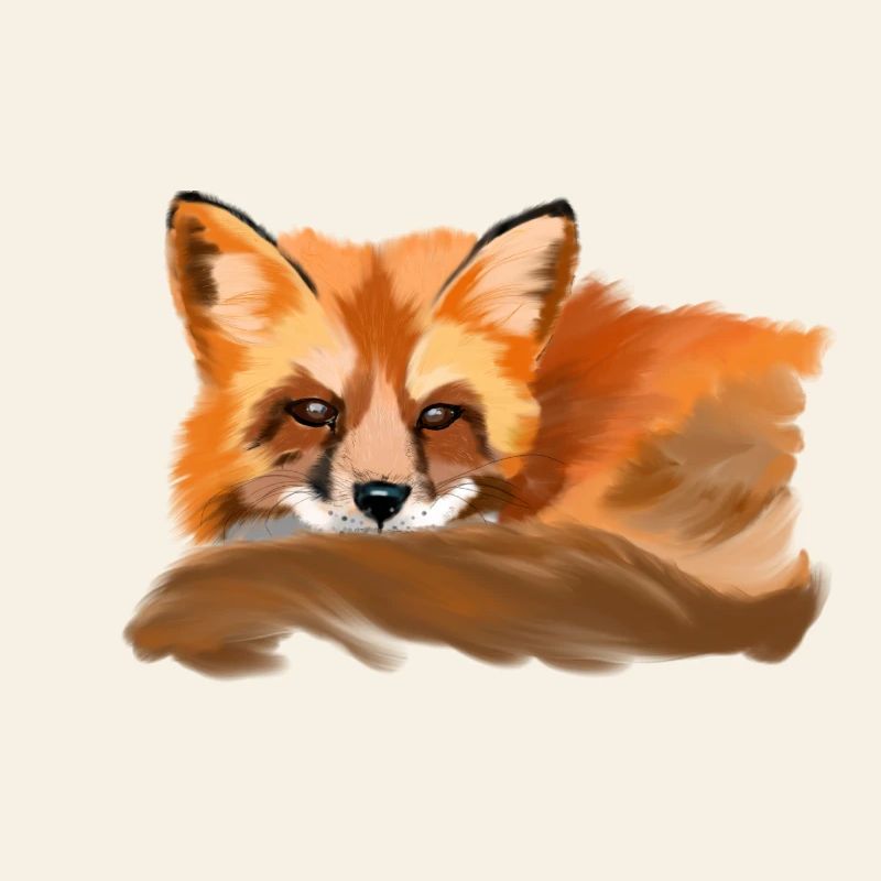 Fuchs