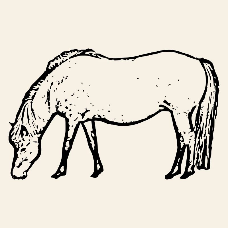 Cheval noir