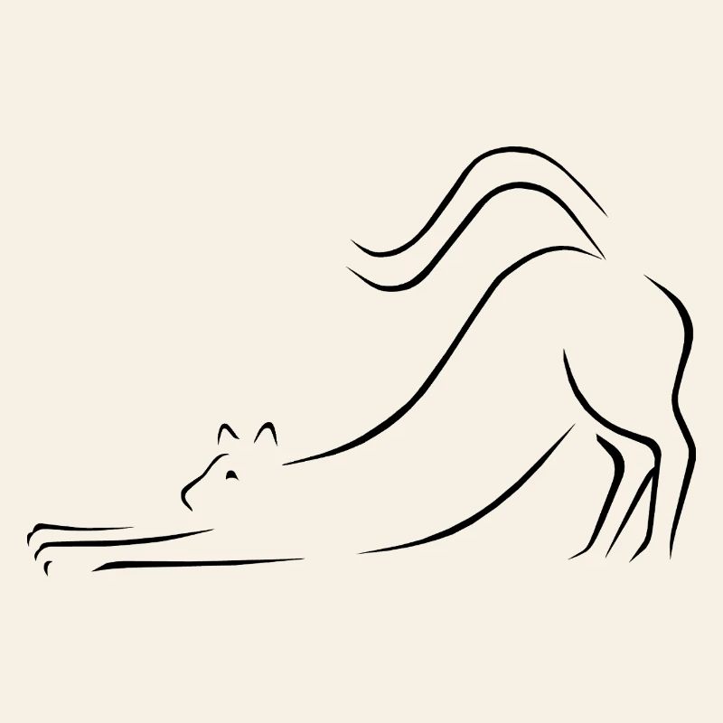 Katze