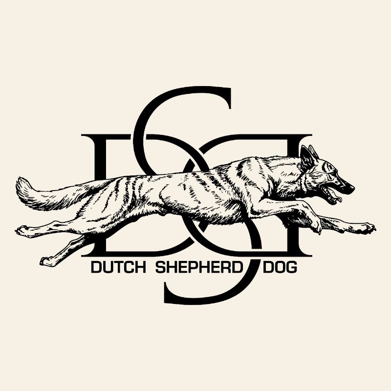 Dutchie - Holländischer Schäferhund