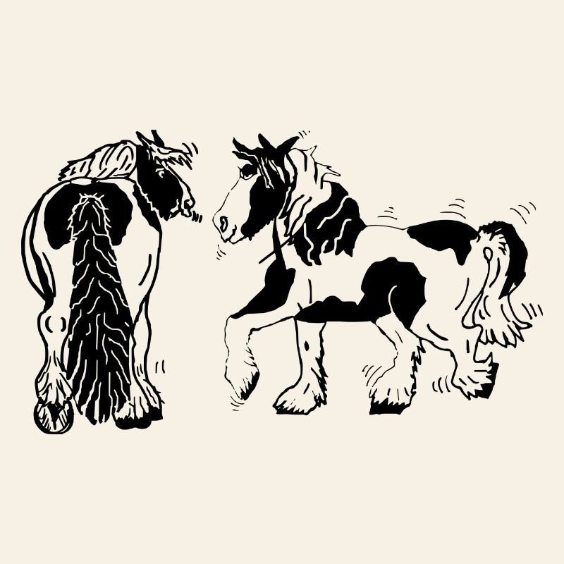 Original Tinker Horses Irish Cobs
