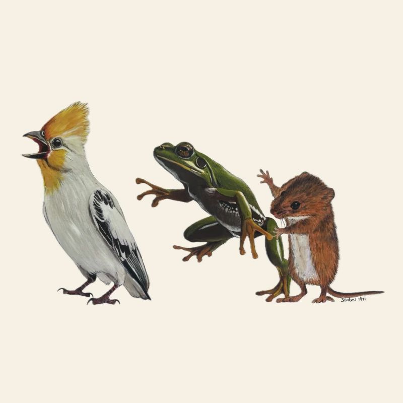 Die Polonaise oder Vogel, Frosch und Maus