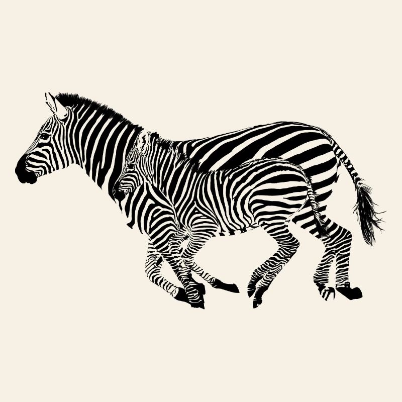 Zèbre