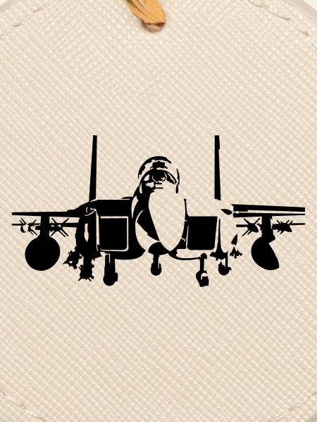 fighter F-15