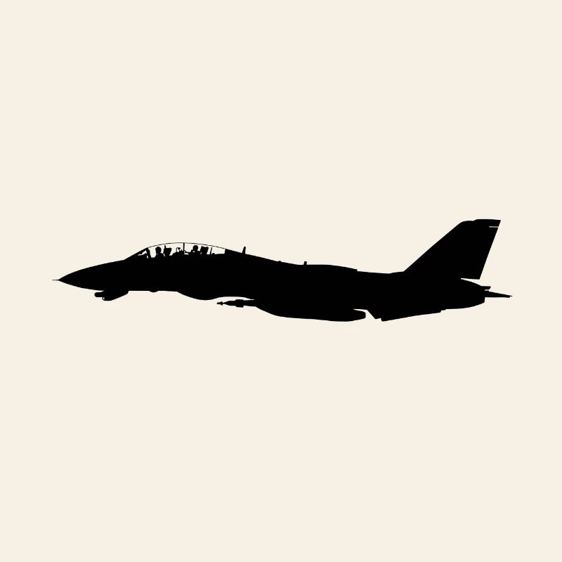 F-14