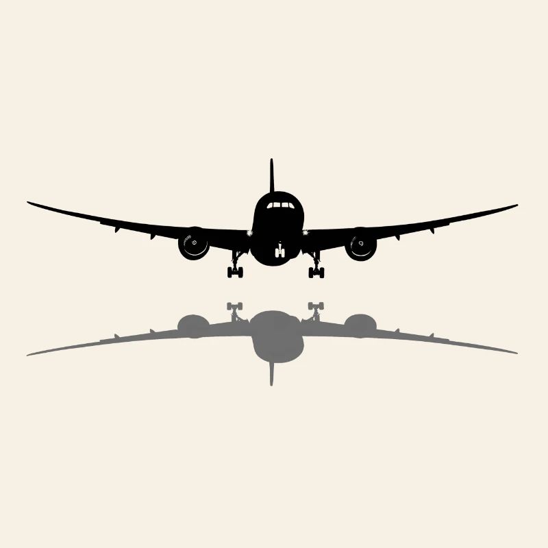 Passagierflugzeug
