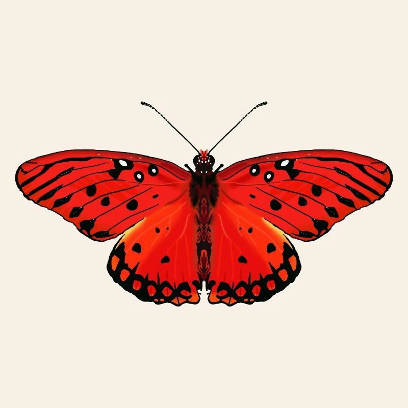 Fiery red butterfly