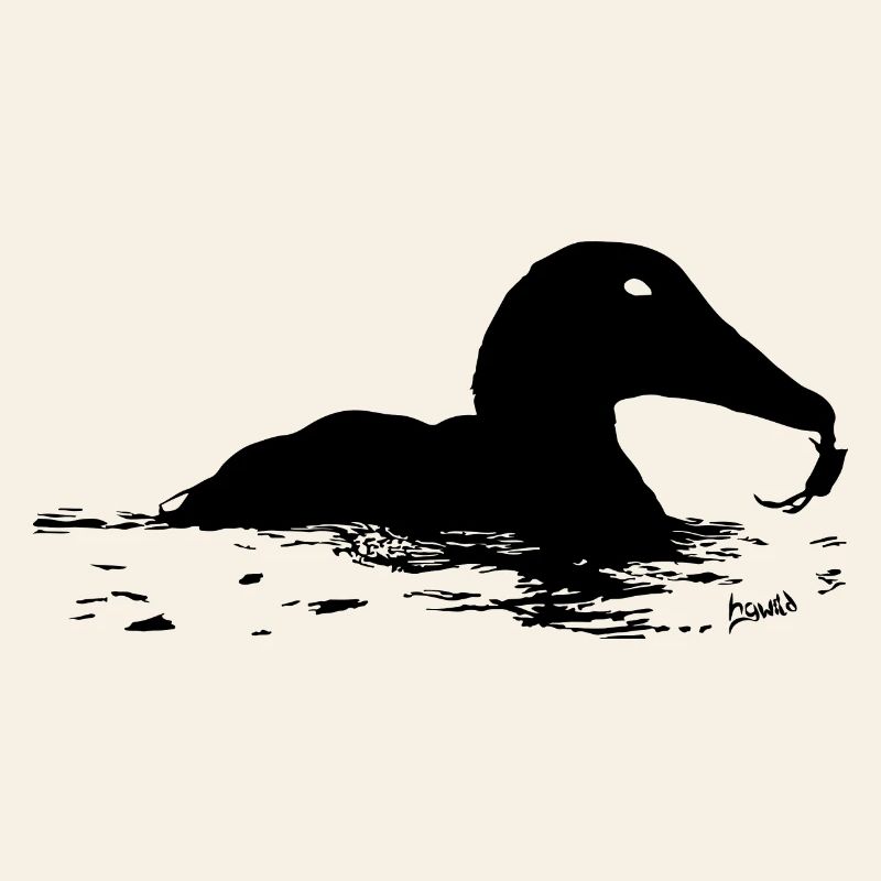 HGWild - Eider duck with crab