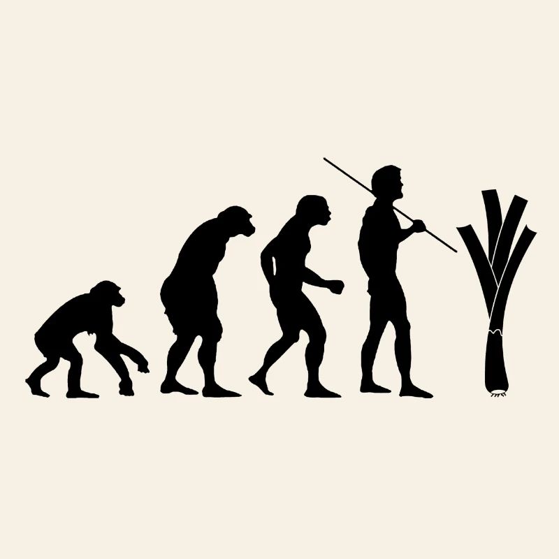 Evolution des Lauchs